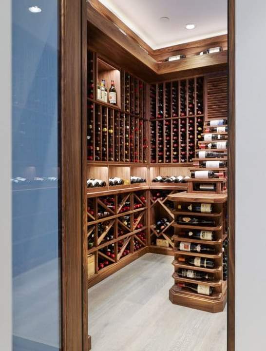 Stylish Design Basement Wine Cellar Lighting and Door